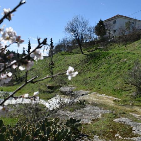 Oasis Of Calmnessε Villa Ardani Екстериор снимка