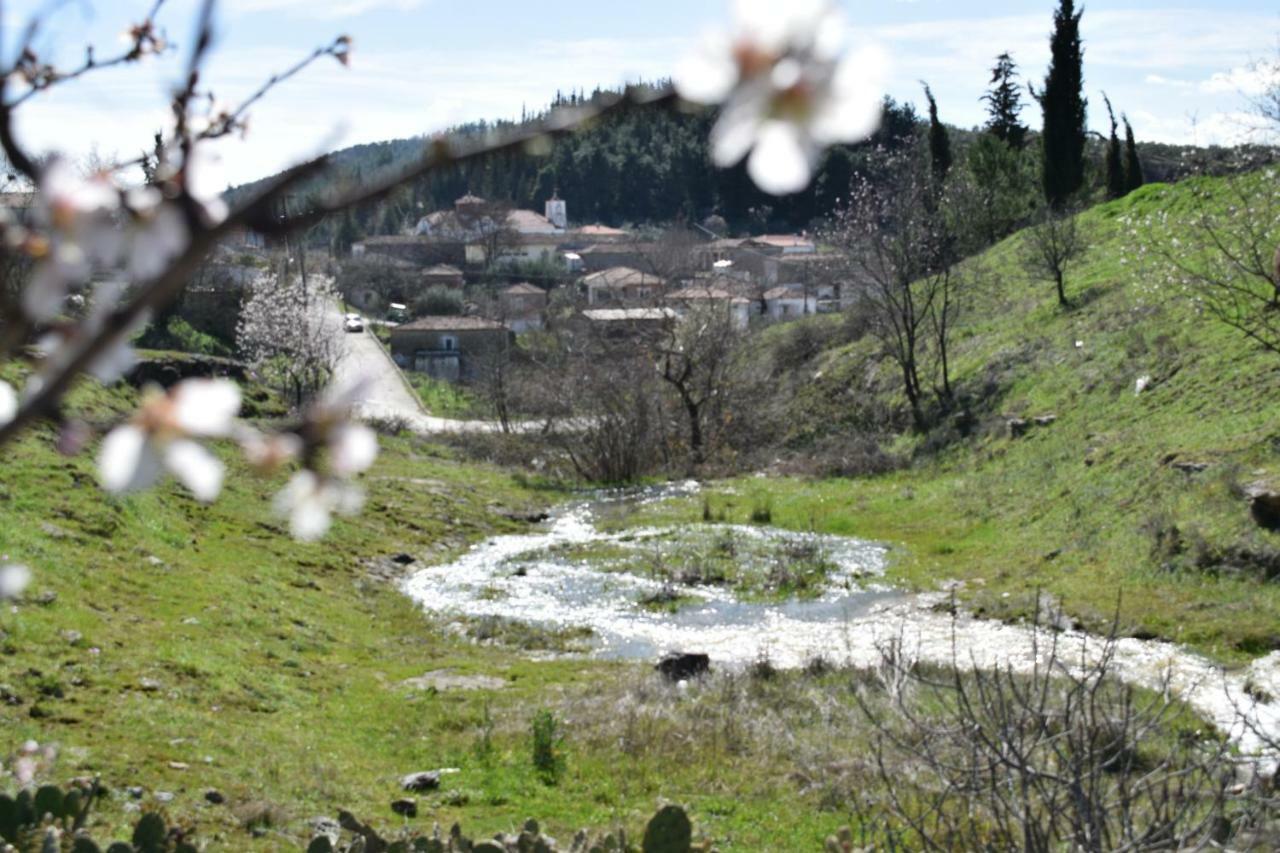 Oasis Of Calmnessε Villa Ardani Екстериор снимка