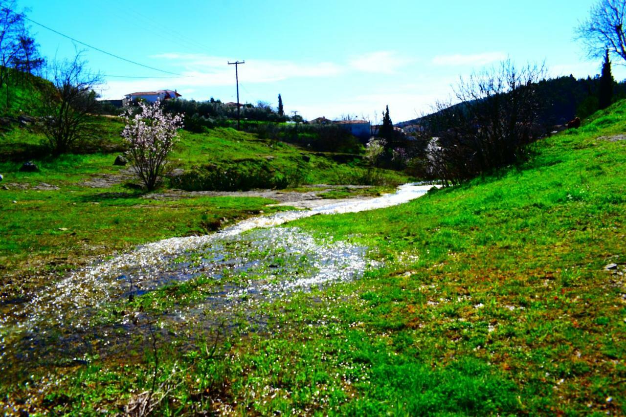 Oasis Of Calmnessε Villa Ardani Екстериор снимка