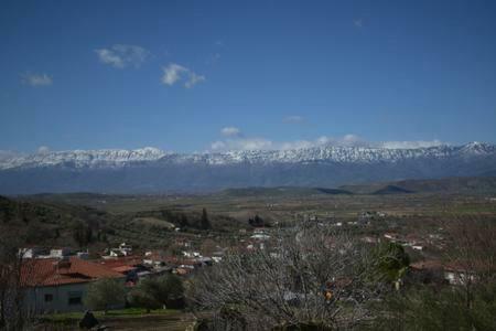 Oasis Of Calmnessε Villa Ardani Екстериор снимка