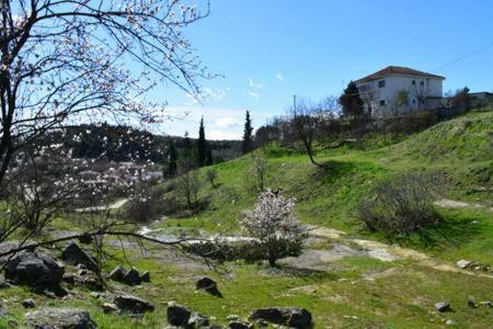 Oasis Of Calmnessε Villa Ardani Екстериор снимка